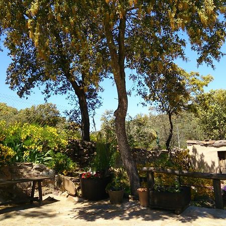 Valdolazaro Pension Los Navalucillos Buitenkant foto