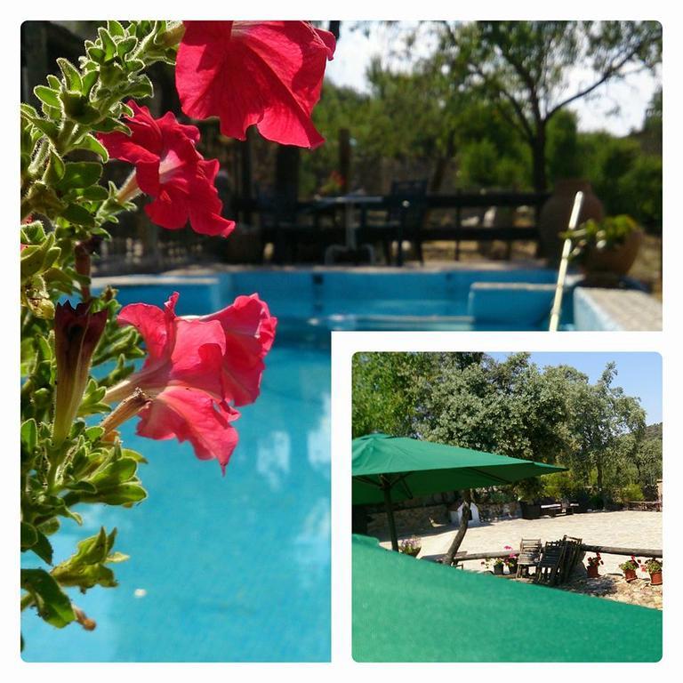 Valdolazaro Pension Los Navalucillos Buitenkant foto