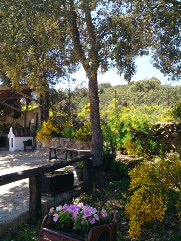 Valdolazaro Pension Los Navalucillos Buitenkant foto
